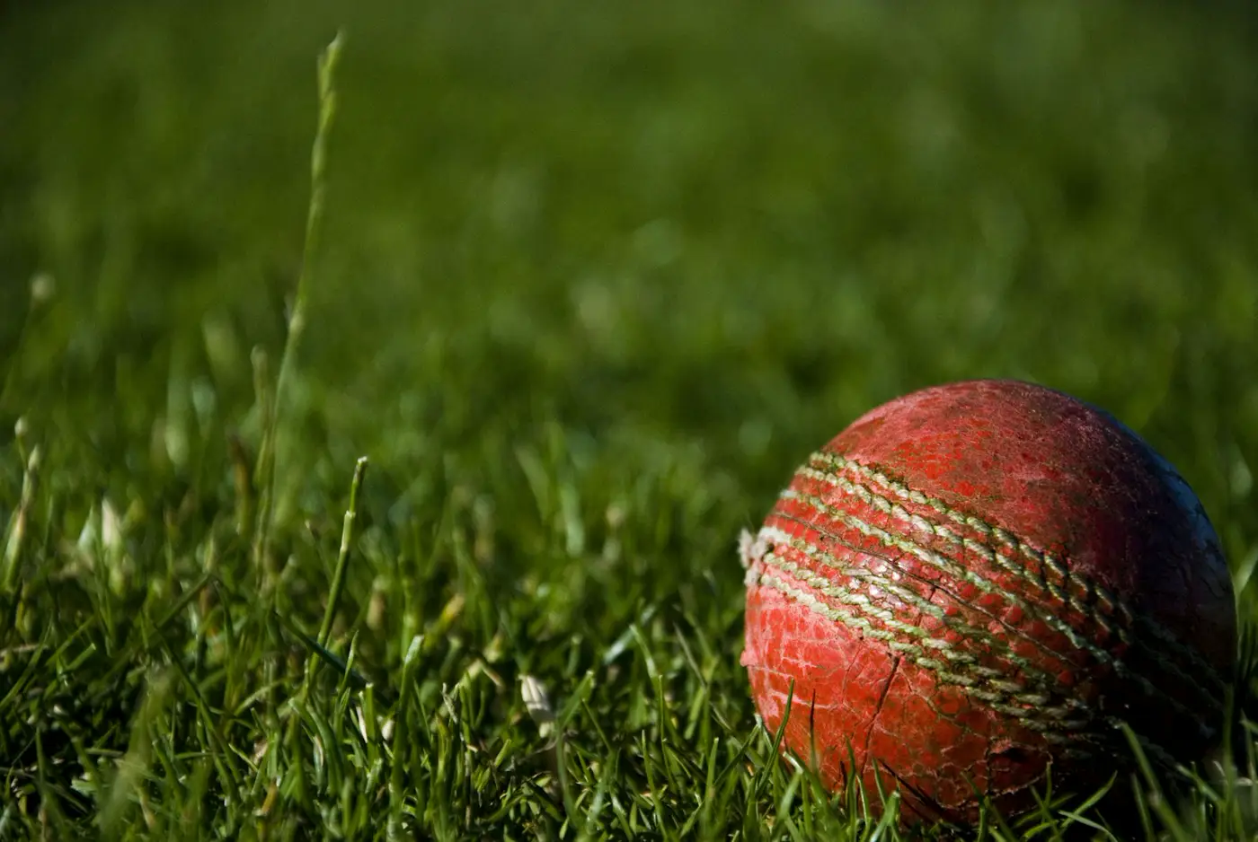 Cherry cricket ball resting on green outfield grass